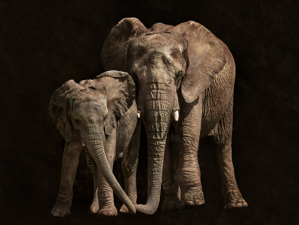 Contact von Juan I. Cuadrado