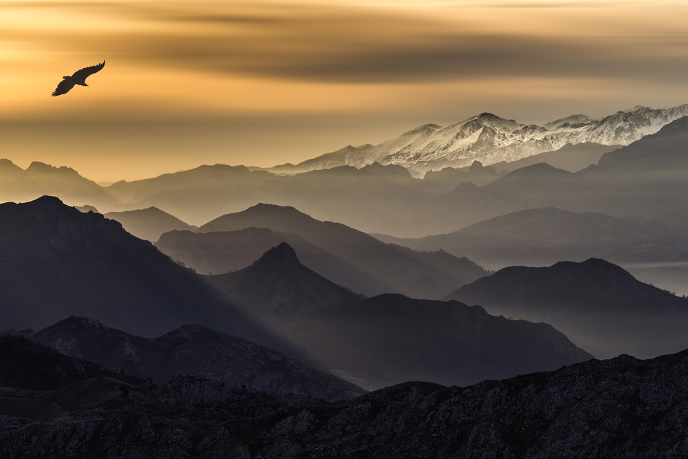 Layers von Juan I. Cuadrado