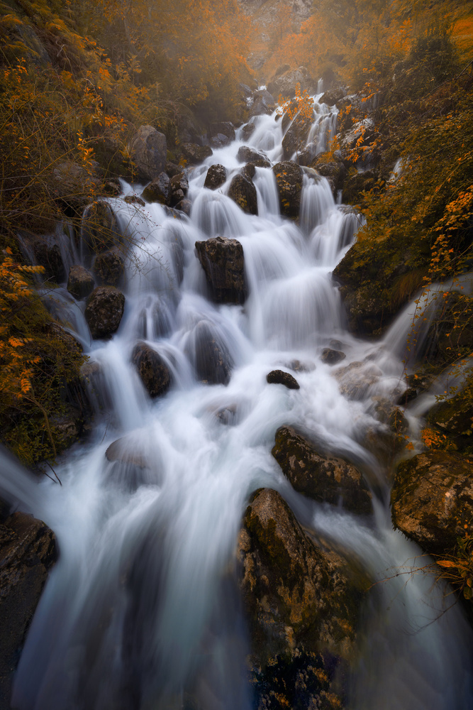 White on Red von Juan I. Cuadrado