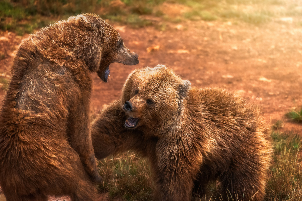 The fight von Juan López Ruiz