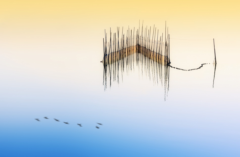 Flight on Lake von Juan Luis Duran