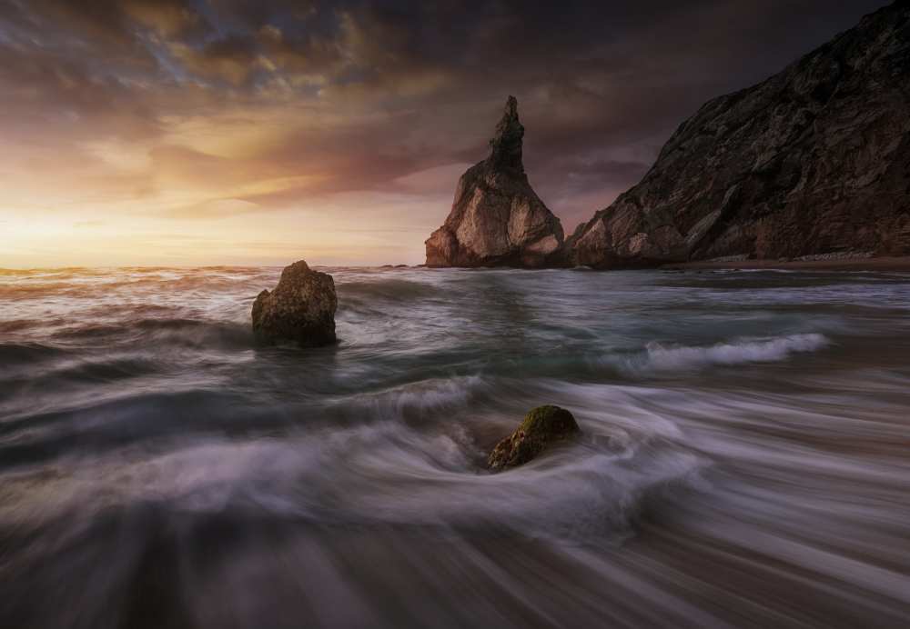 Long Ursa. von Juan Pablo de