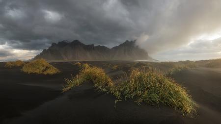 Sunrise in the beach