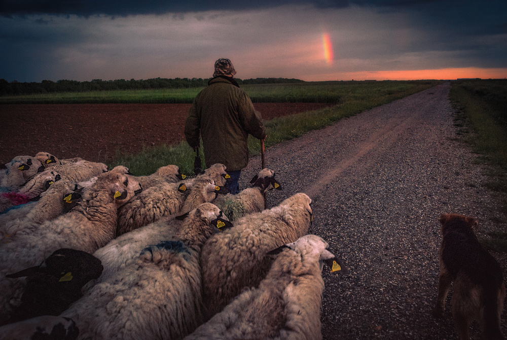 Back home von Juanjo Mediavilla