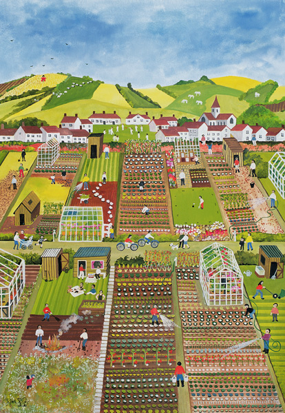 Allotments von Judy  Joel