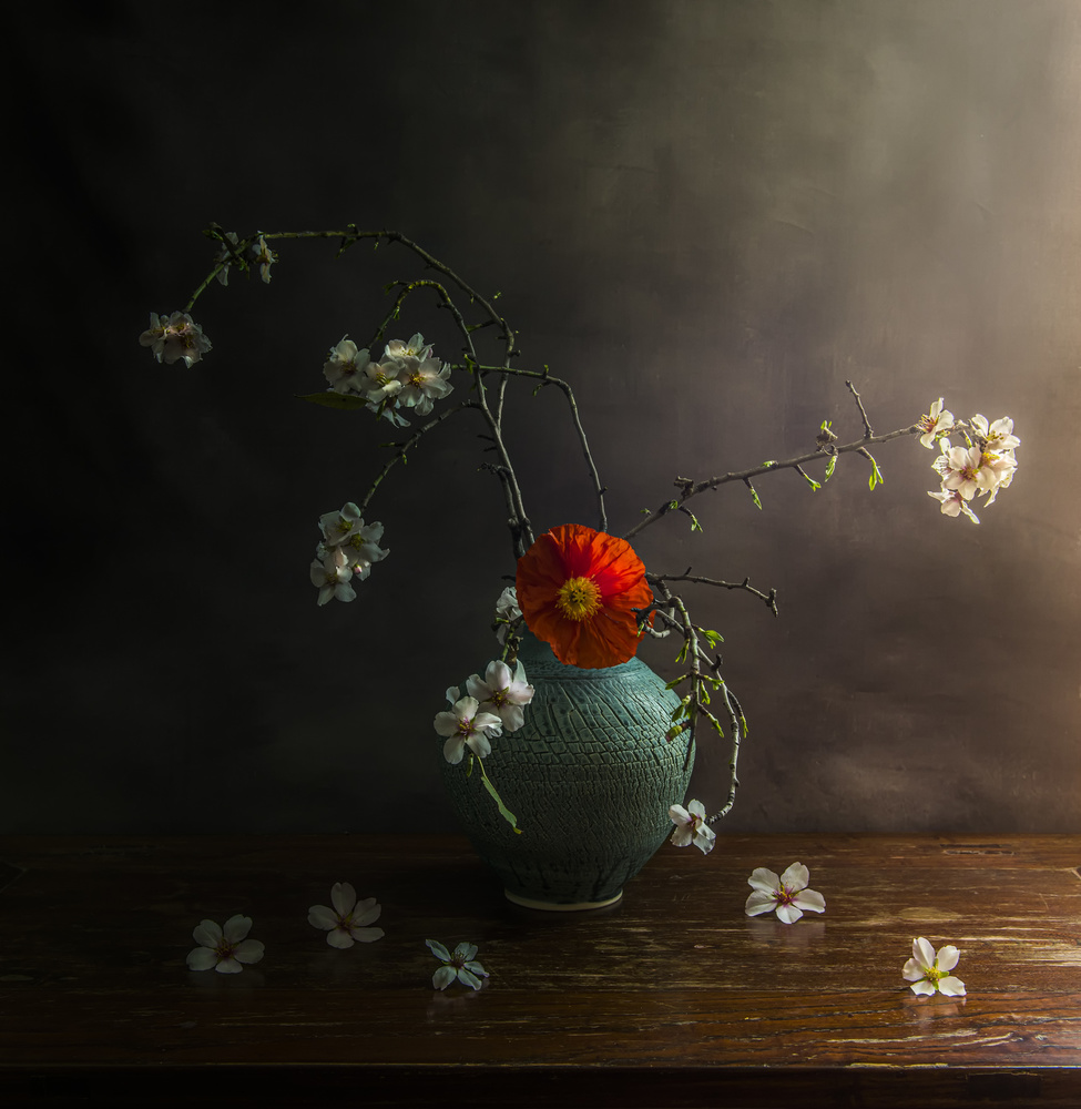 Spring is here von Judy Tseng