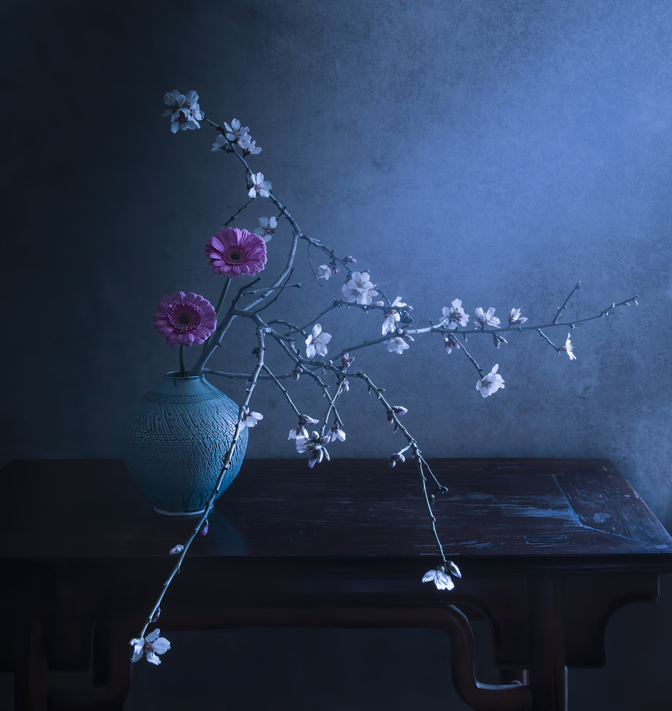 spring is here von Judy Tseng