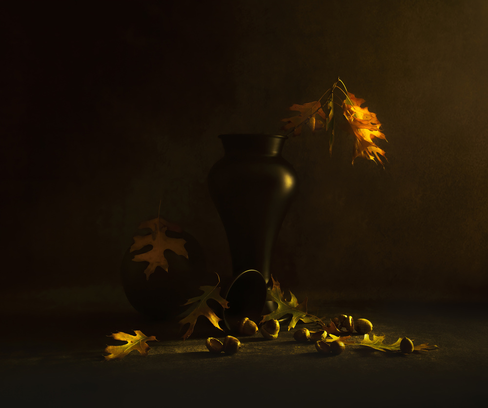 Acorn von Judy Tseng