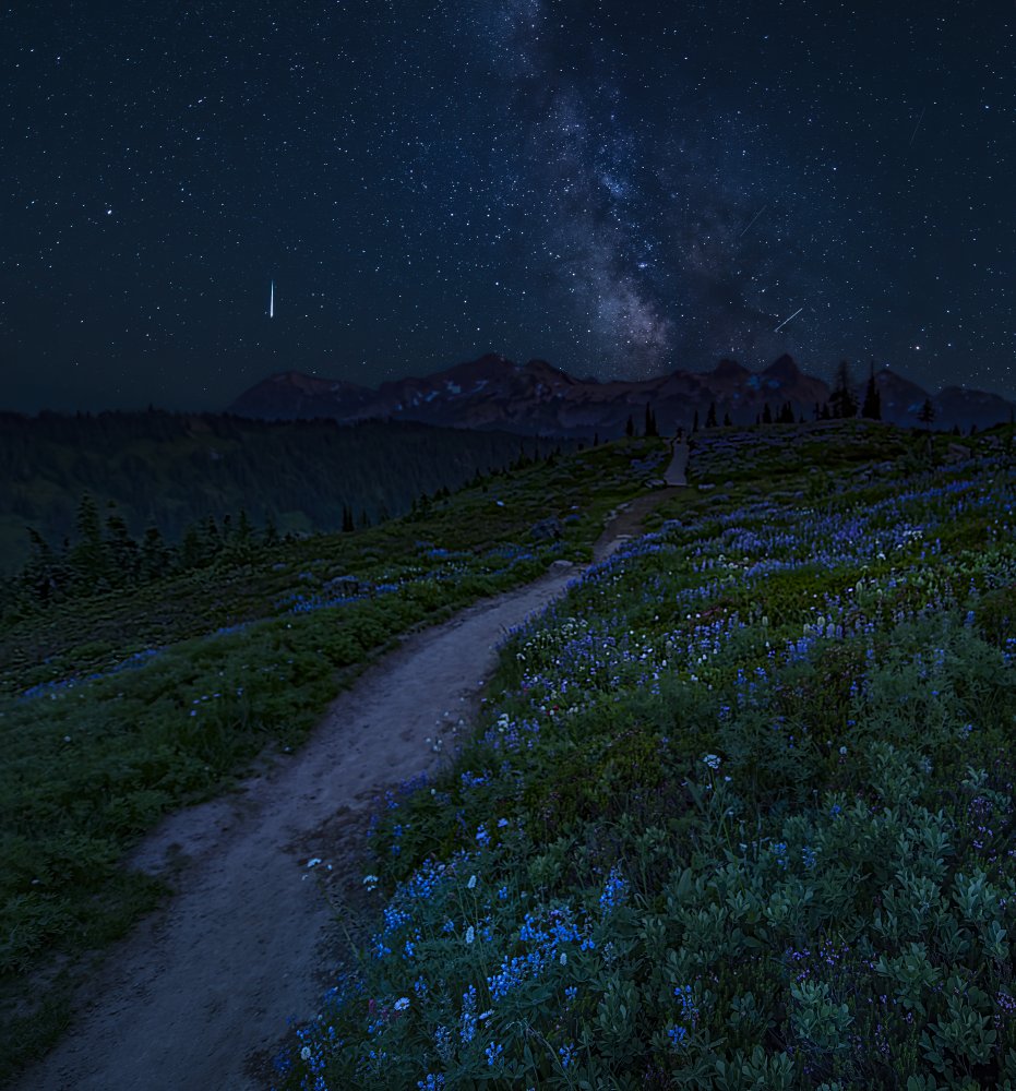 A shining star of August von Judy Tseng