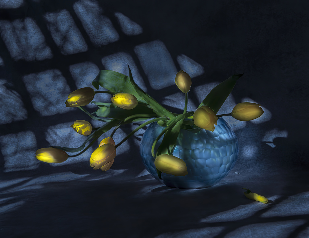 Escape from the net von Judy Tseng