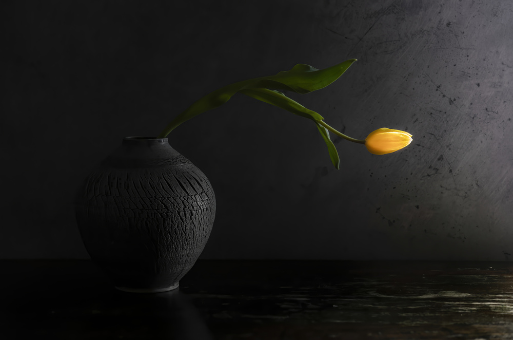 Gray and yellow still life von Judy Tseng