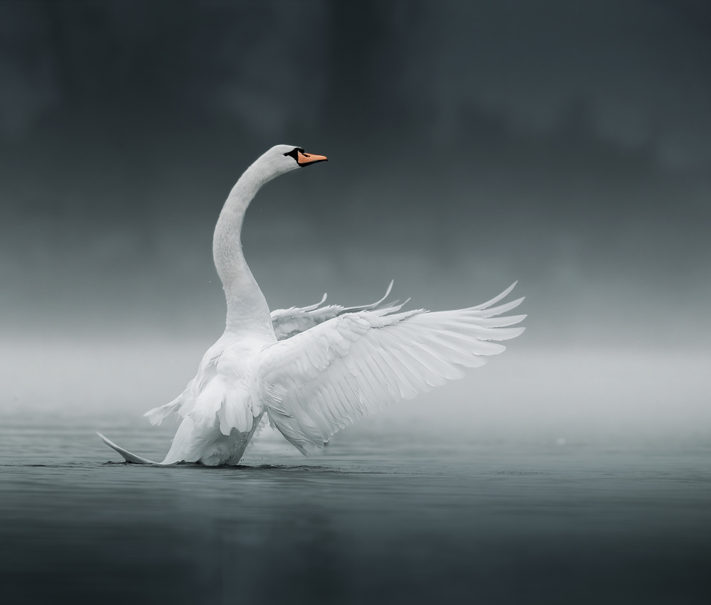 morning workout von Judy Tseng