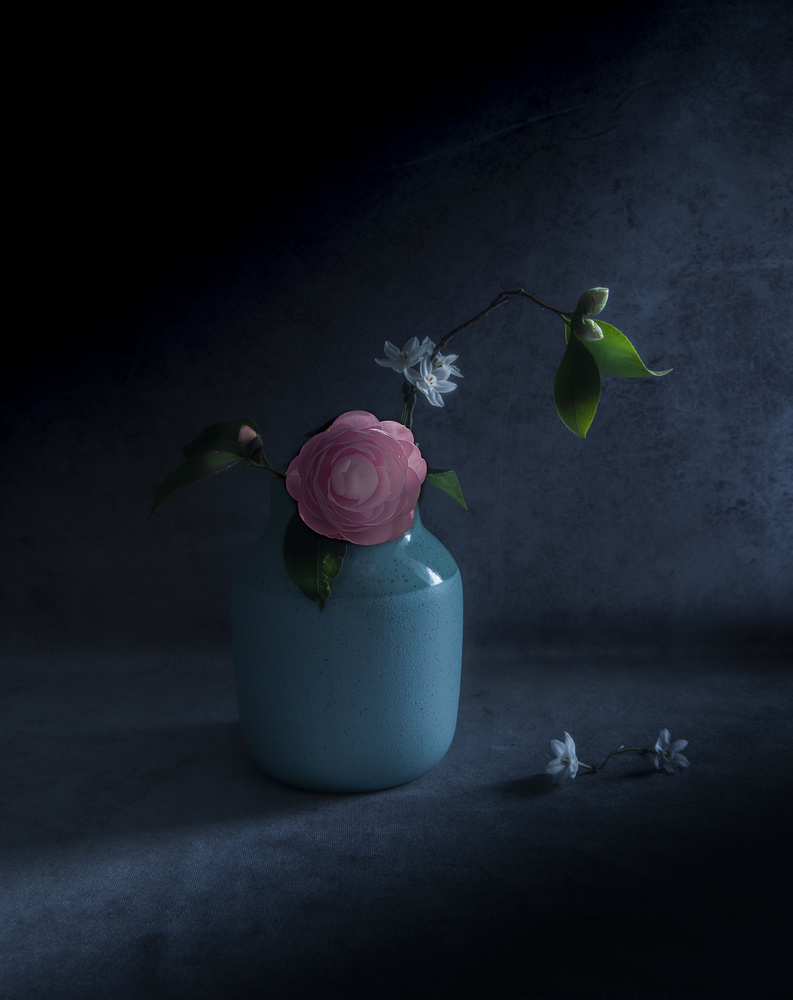 Pink perfection von Judy Tseng