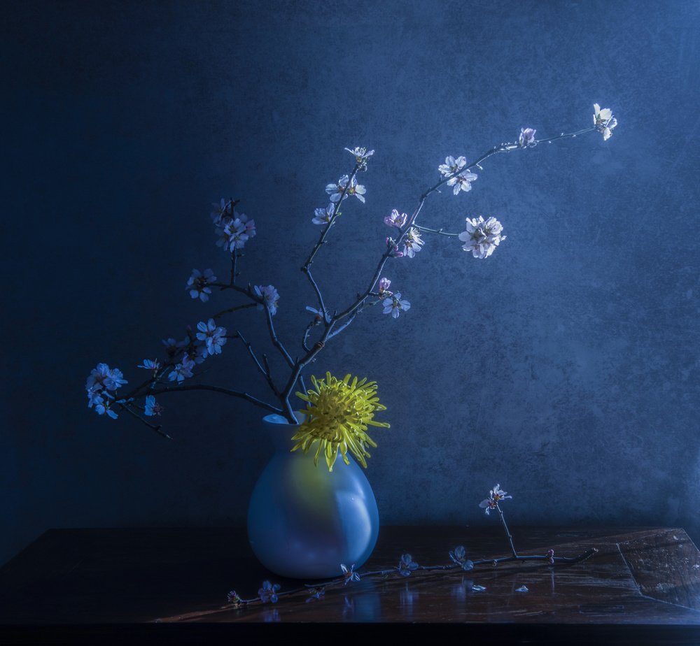 yearn von Judy Tseng