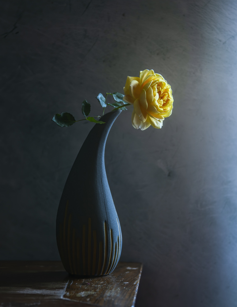 waiting von Judy Tseng