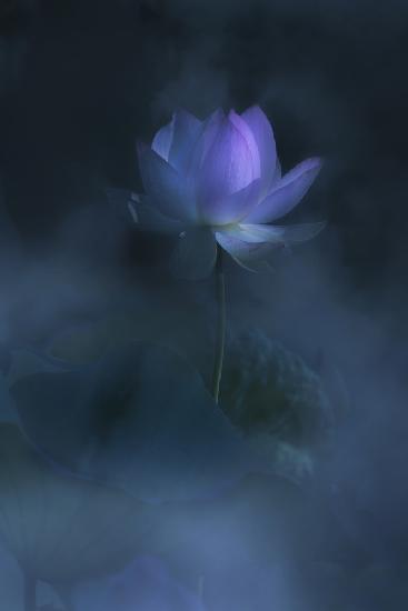 When the sun comes out