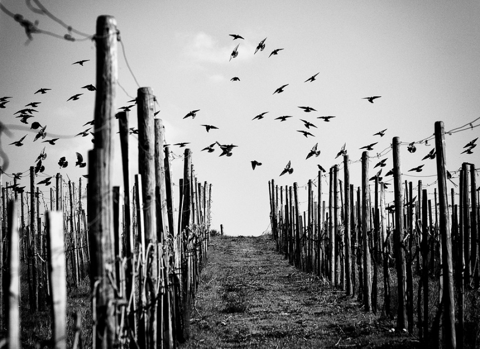 At the end of the day von Jürgen Hartlieb