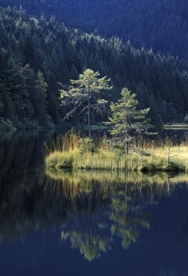 SCHWIMMENDE INSEL von Jürgen Rei