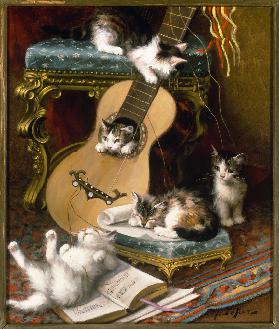 Kätzchen beim Spiel mit einer Gitarre