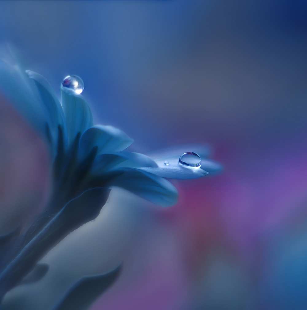 Beyond Mind and Heart... von Juliana Nan
