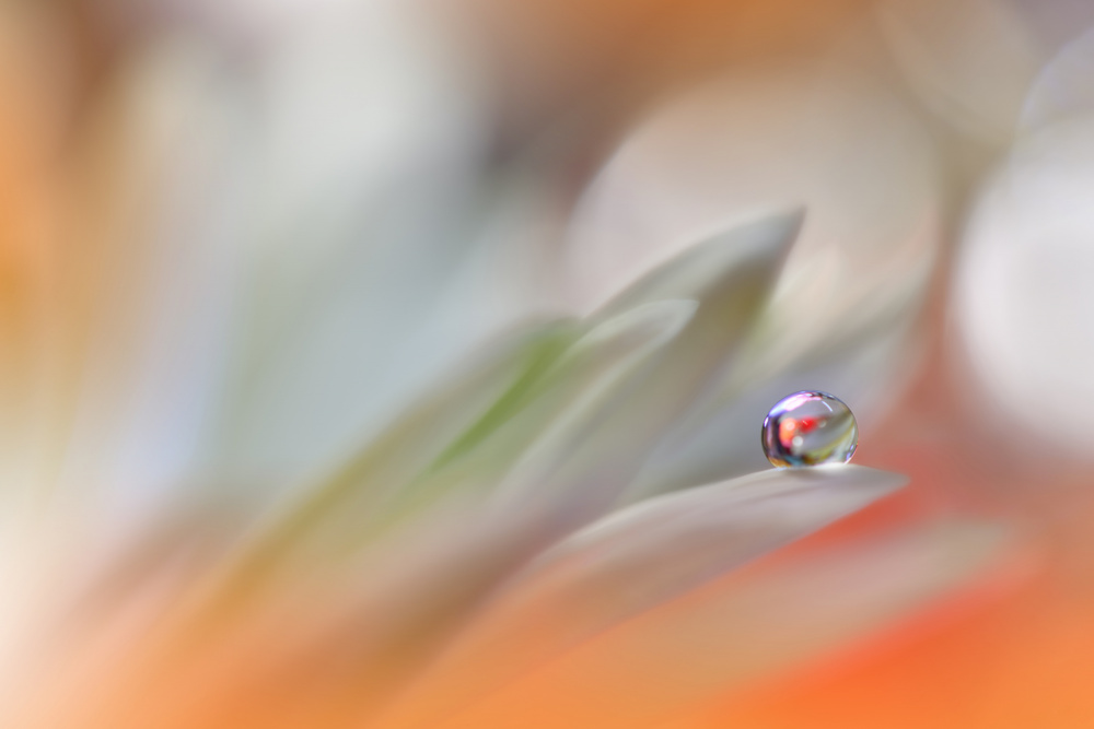 A Colorful World...II von Juliana Nan