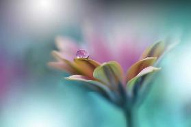 Erinnerungen an das Meer ..