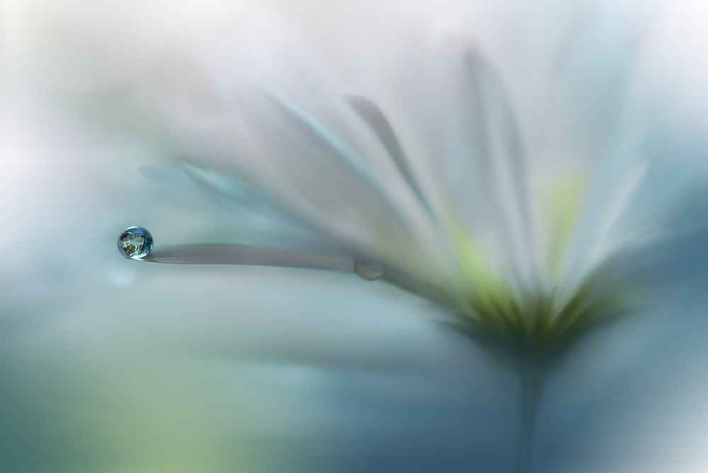 Fields of Hope.. von Juliana Nan