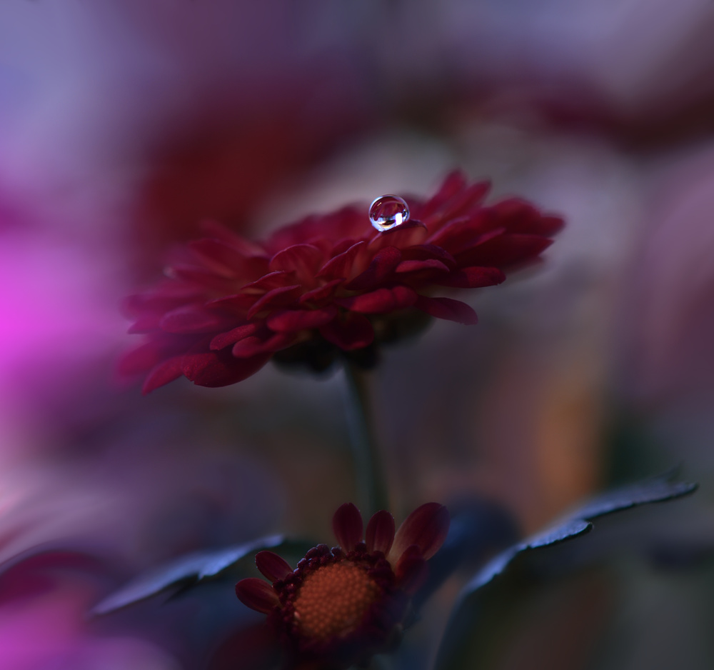 Heavenly Dance... von Juliana Nan