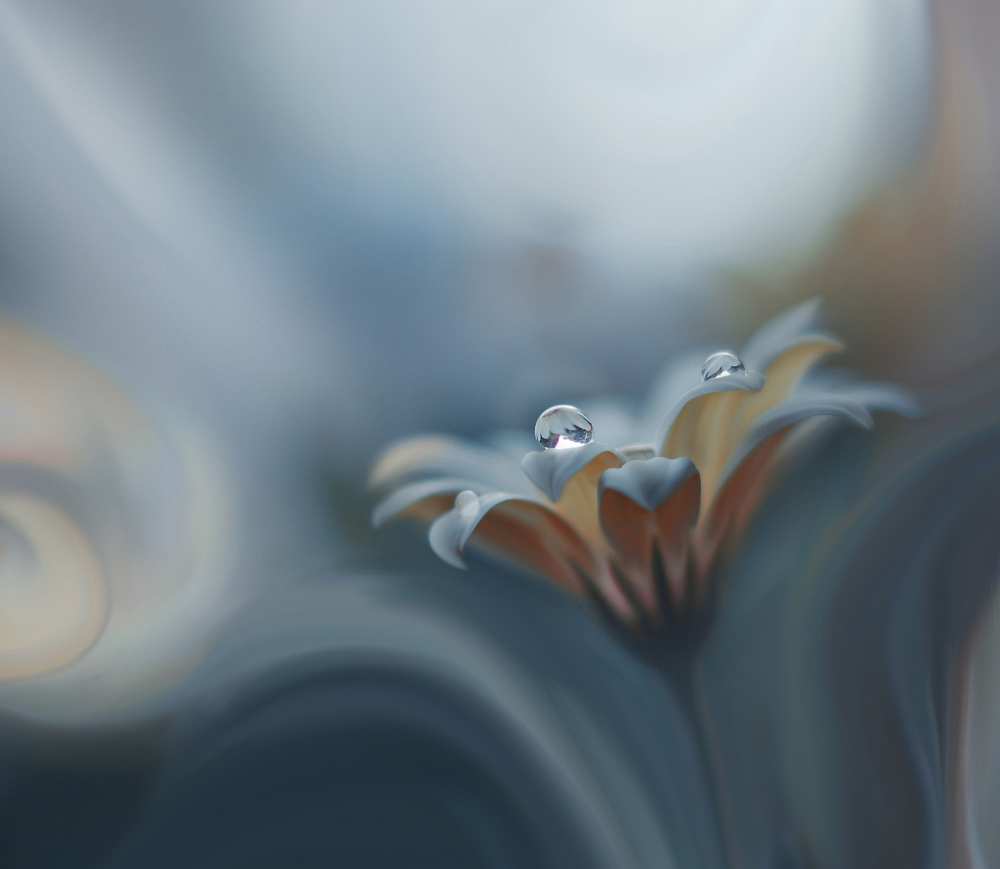 Infinite longing... von Juliana Nan