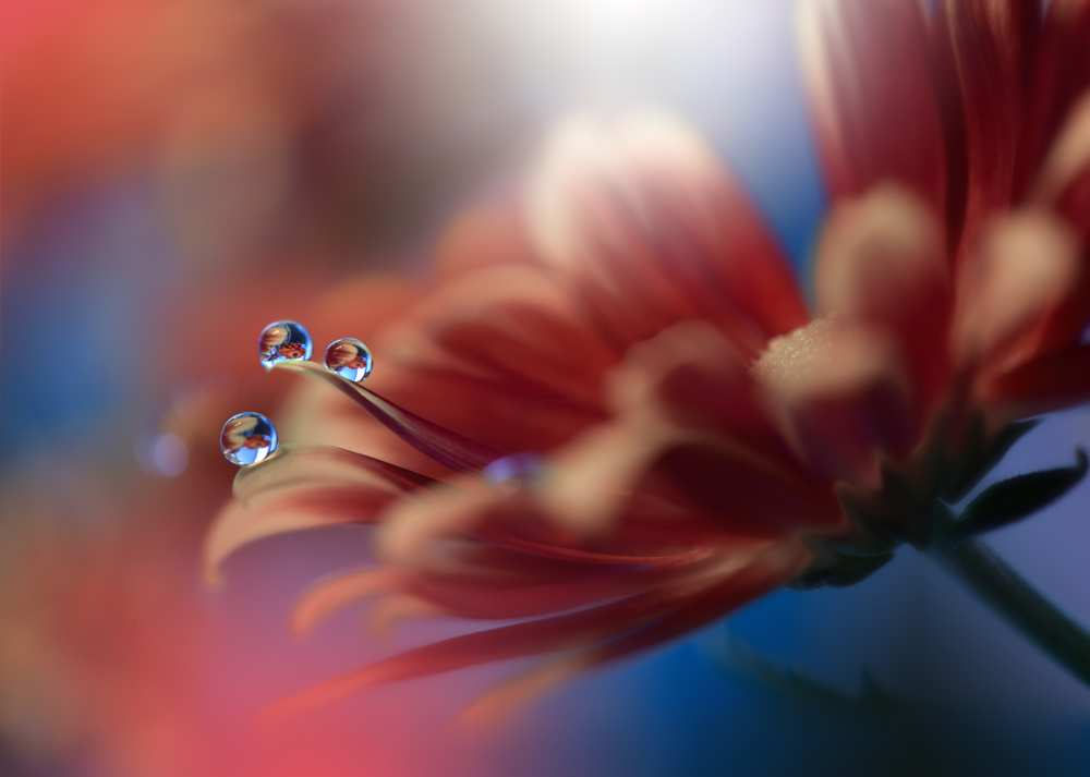 Inmost... von Juliana Nan