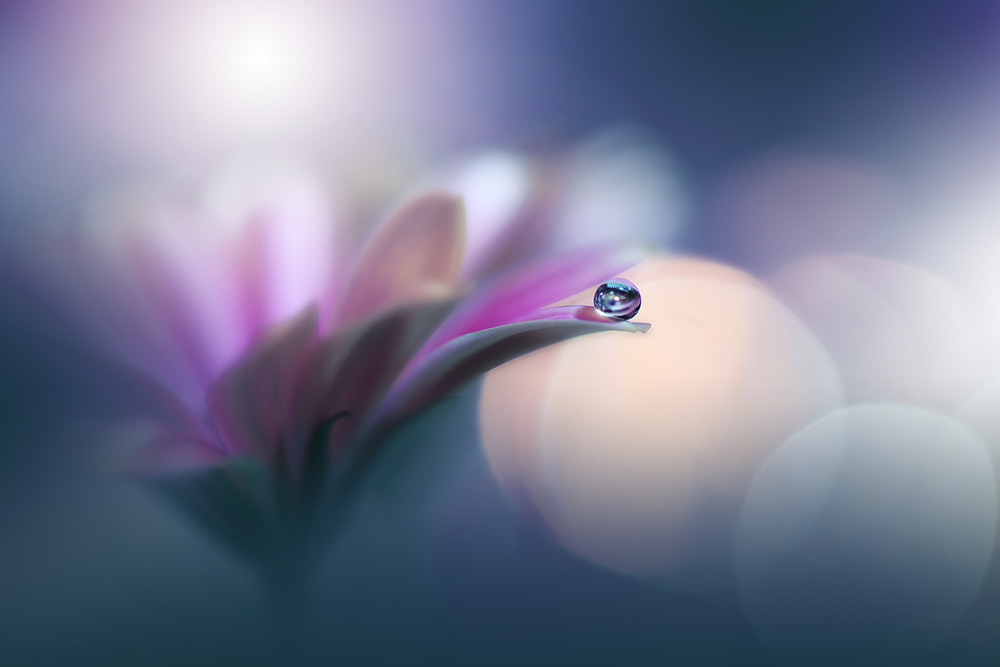 ~o~ von Juliana Nan