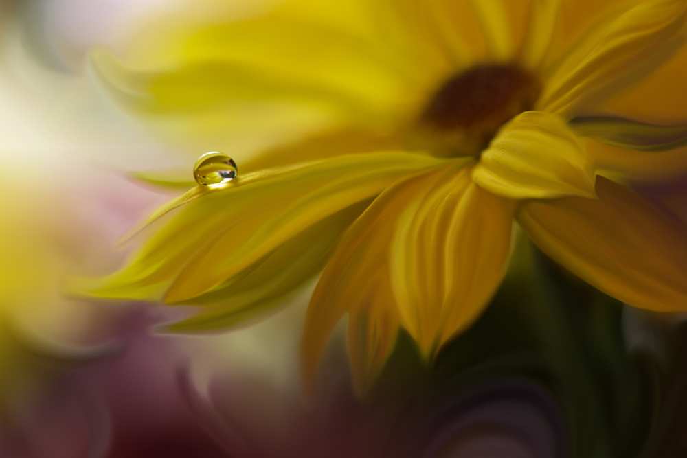 SunBeam... von Juliana Nan