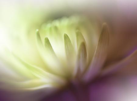 Dance in the Light..