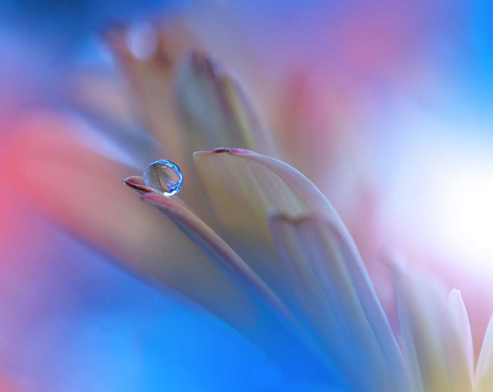 Touch Me Softly... von Juliana Nan