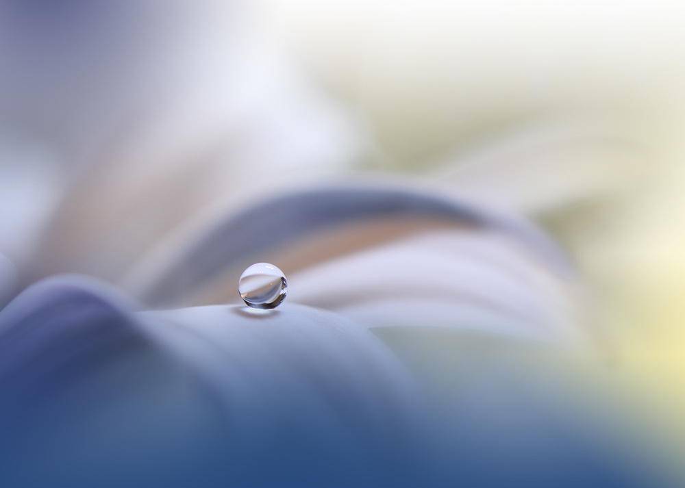 Innocence.. von Juliana Nan