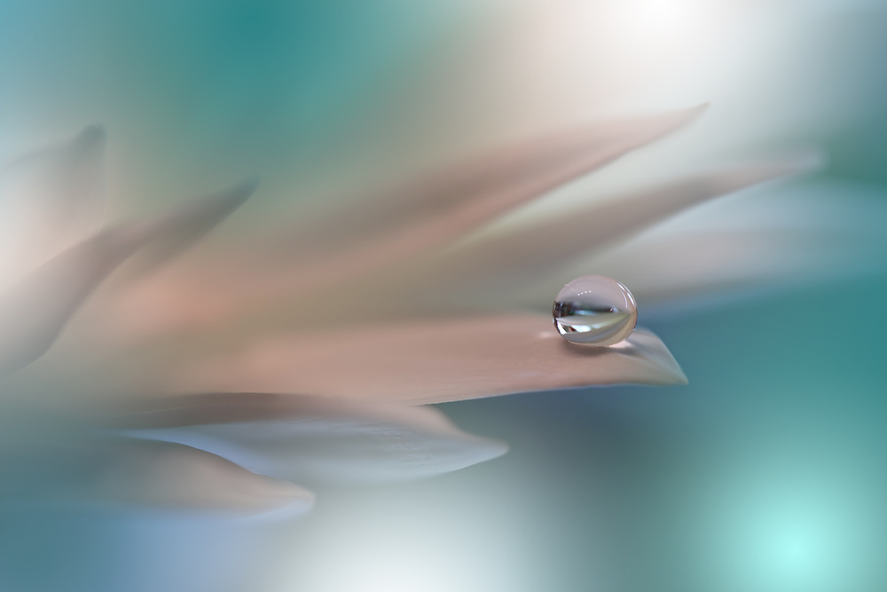 White Symphony.. von Juliana Nan