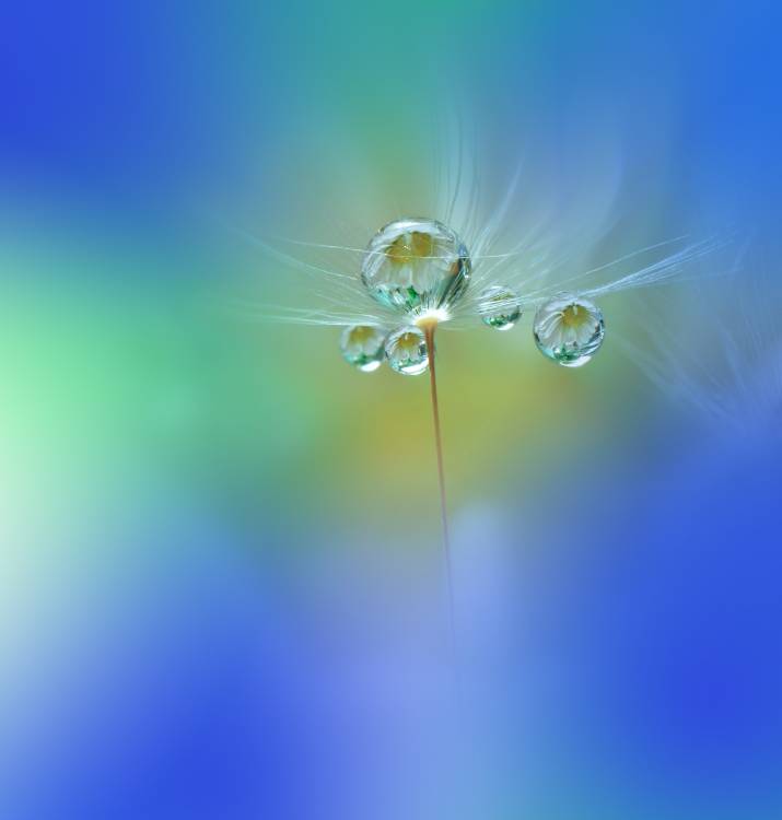 World of Drops von Juliana Nan