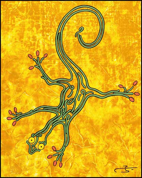 Le geko von Julien Pouget