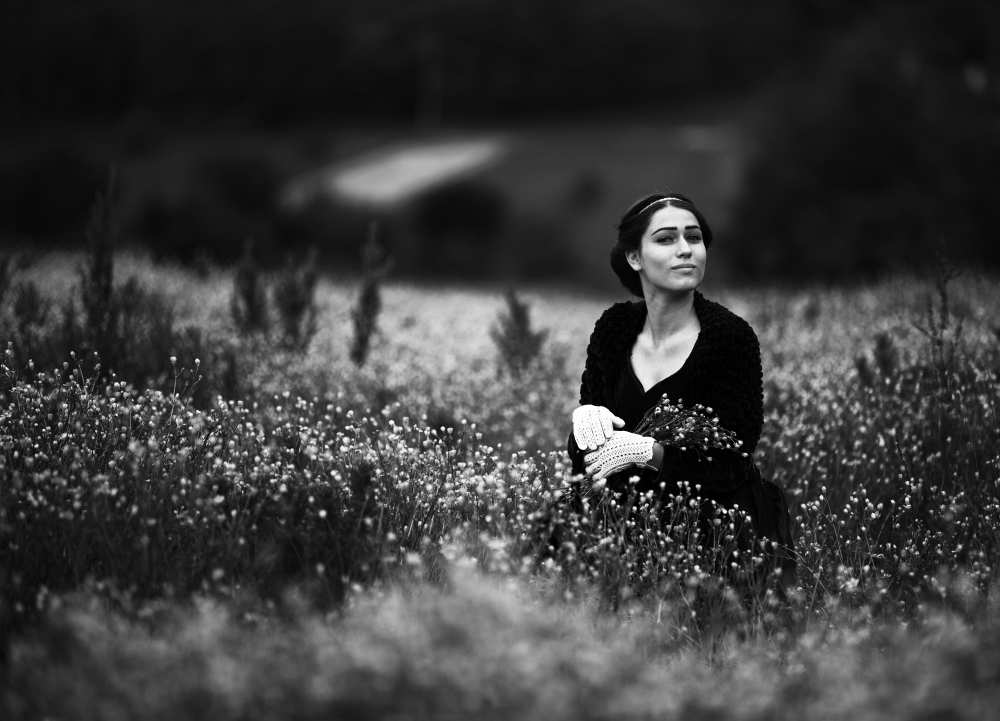 Colza von Julien Oncete