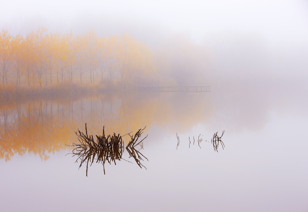 The silence of autumn von Julien Oncete