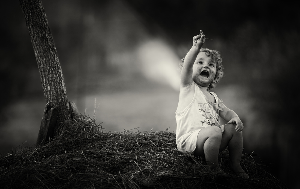 White wings von Julien Oncete