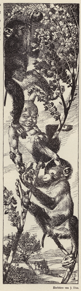 Monkeys picking fruit in a tree von Julius Diez