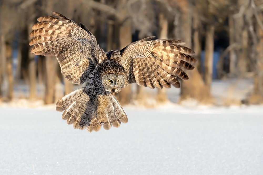 Action in The Morning von Jun Zuo