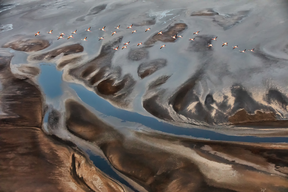 The Land von Jun Zuo