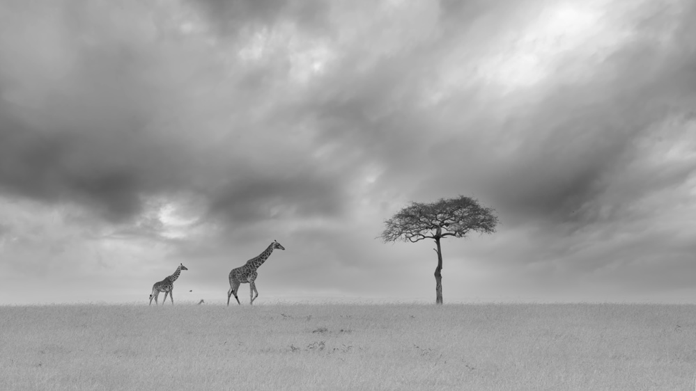 A Cloudy Day von Jun Zuo