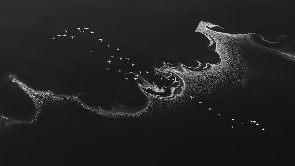 Flying Over The Salt Lake von Jun Zuo