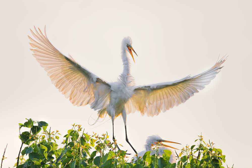 I am Home von Jun Zuo