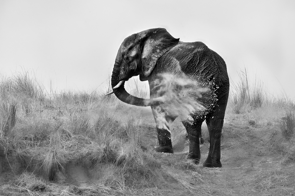 Love Dirt von Jun Zuo