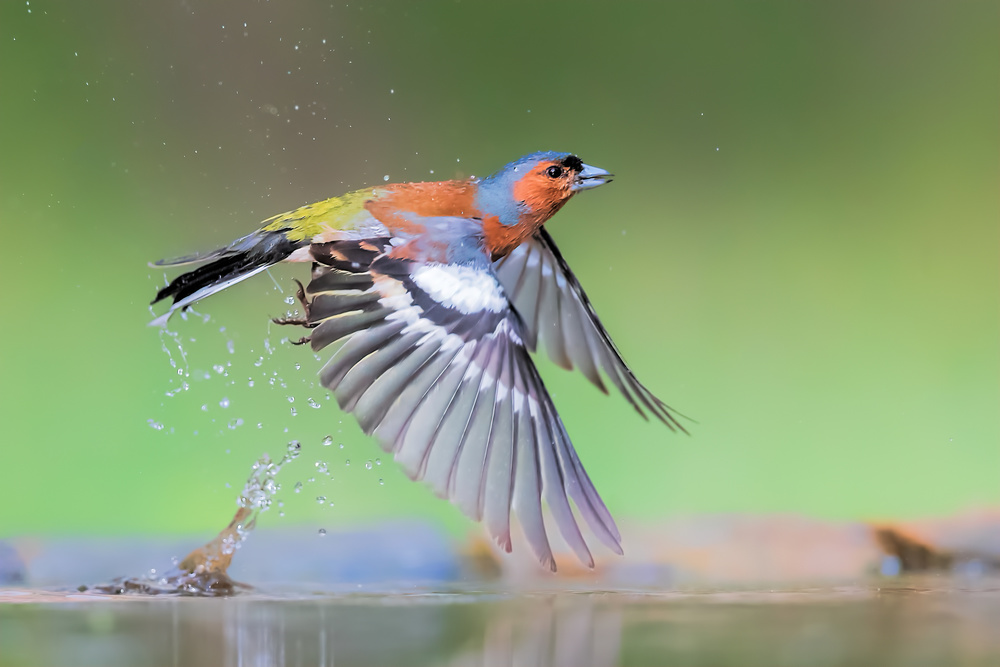 After Bath von Jun Zuo