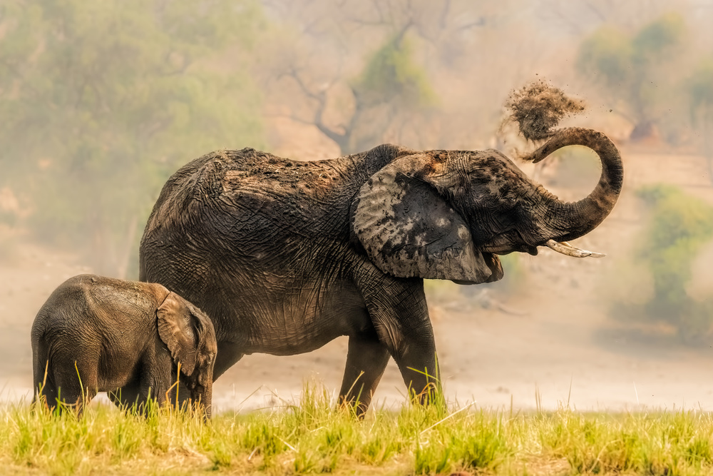 Get Covered von Jun Zuo